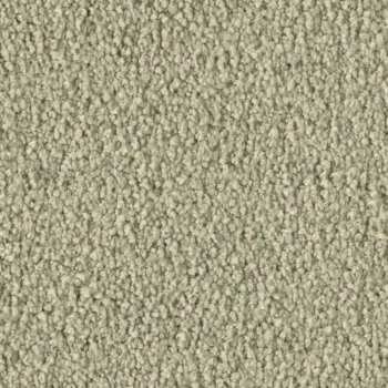 Preview: Vorwerk Violetta 8L43 – Draufsicht Teppichboden Farbe 8L43 ohne Badge